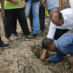 Palm Seed Sowing Services​